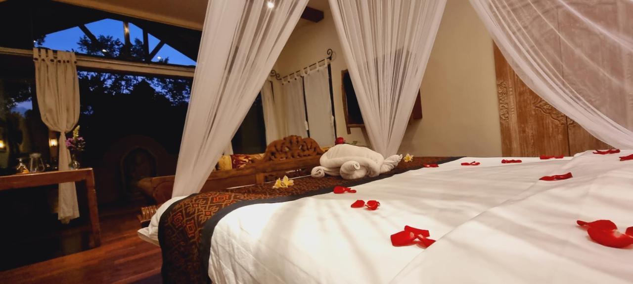 Villa Avalon Castle&spa